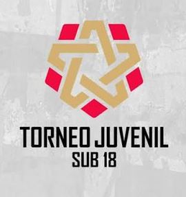 Logo NEGROL SUB 18
